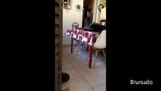 Jouer Ladrão atrapalhaliquidatevadiu minha casa !