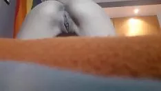 Jouer Minou