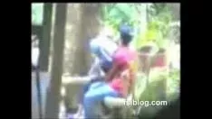 Play Paki parkland fun1